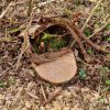 04 Aktion April 25 Feen und Wichtelwald